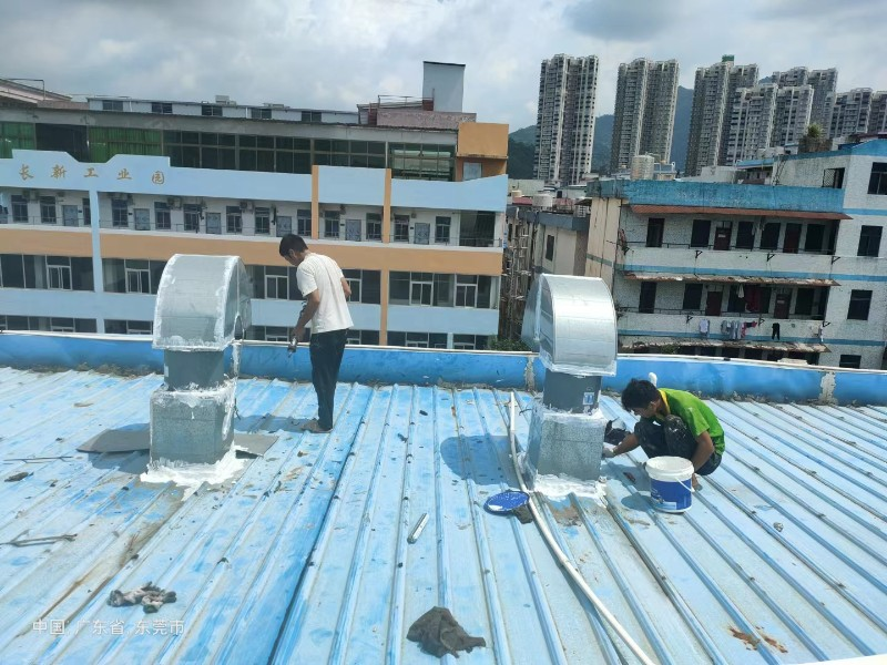 海沧钢结构屋面涂料维修方法