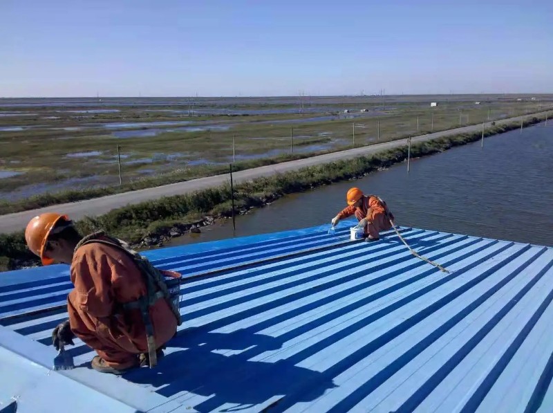 海沧钢结构屋面漏水原因